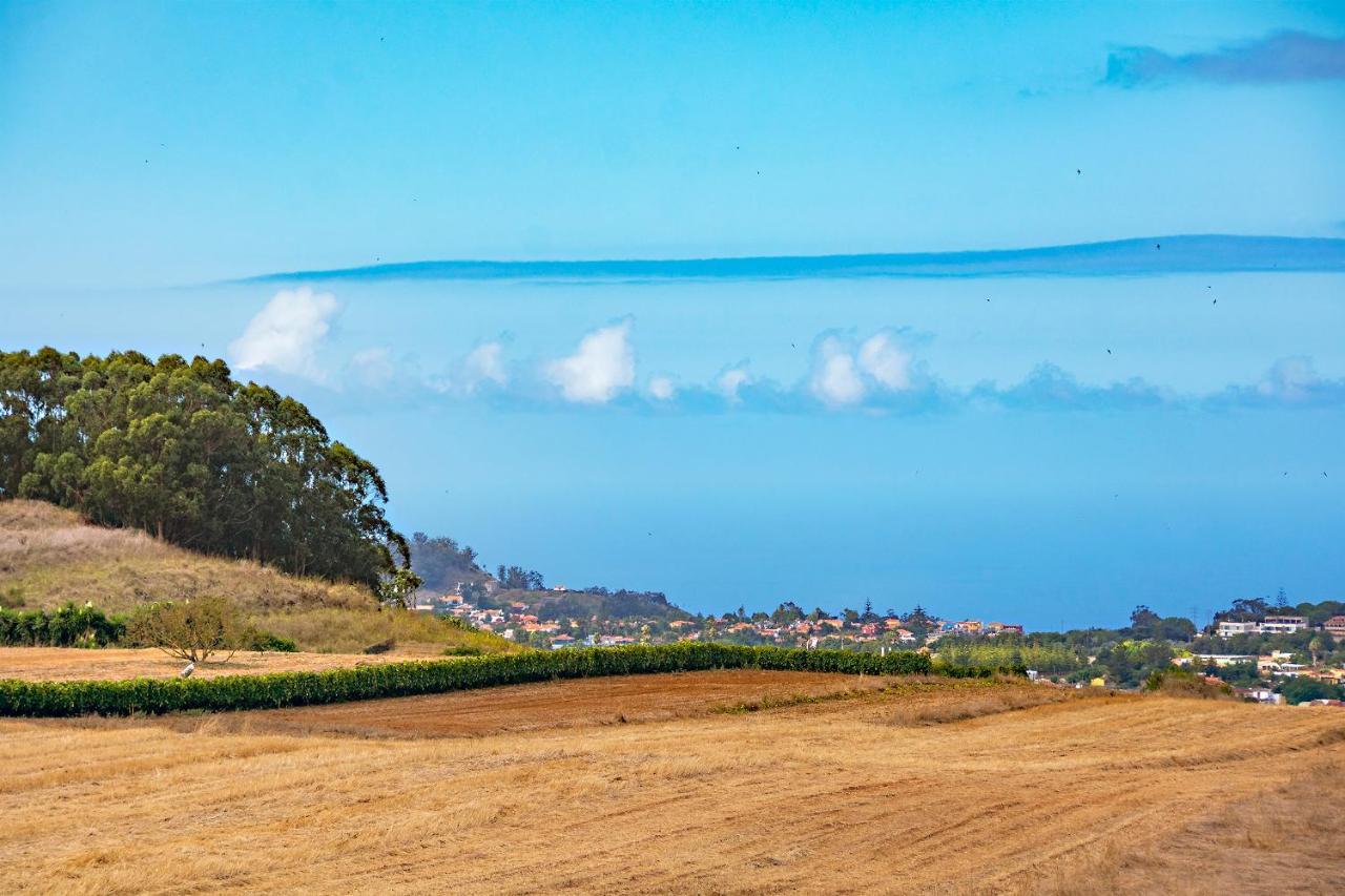 לה לגונה Finca La Casa Verde מראה חיצוני תמונה